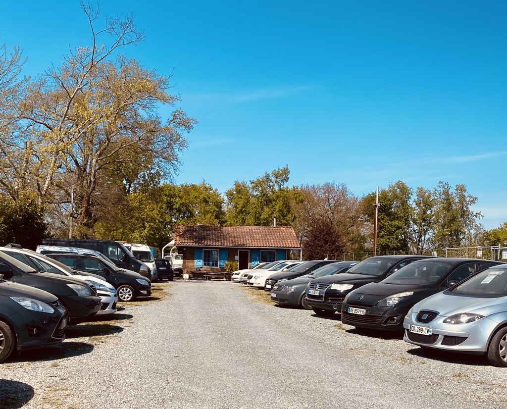 Laura D.